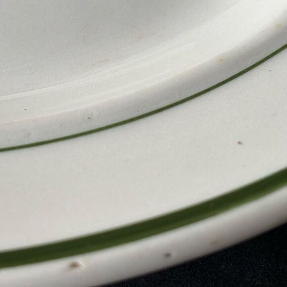 Jackson China B.P.O.E. 349 Elks Lodge DuBois Pa Sectional 10 1/2”  Plate - Picture 4 of 9